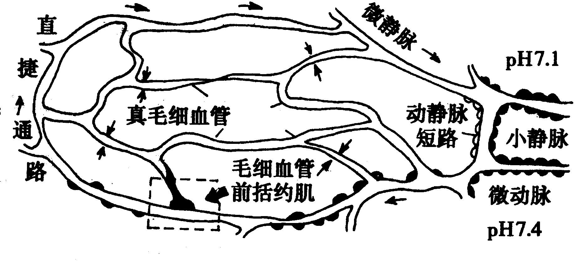昏迷病人从微意识到清醒