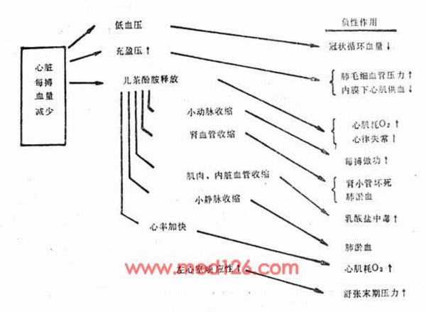 休克是一个严重的、变化多端的动态过程,要取得最好的治疗效果,须注意下列四点:治疗开始愈早愈好,最好在休克症状尚未充分发展前就给予治疗,力求避免休克发展到晚期难以逆转的地步;对不同类型的休克,在不同阶段要针对当时的病理生理变化给予适当的处理,如补充血容量,增强心肌收缩力,解除或增加周围血管阻力,消除微循环淤滞及纠正酸中毒等措施;密切观察病人、特别注意中枢神经系统、心、肺和肾功能情况。必要时作中心静脉压、肺楔嵌压测定和放置保留导尿管,对病情进行反复的分析,抓住各个阶段的主要矛盾,按病情的变化随时调整用